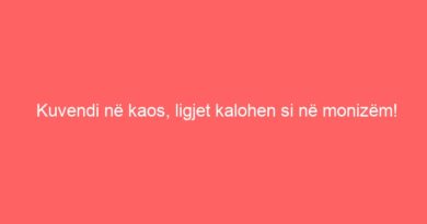 Kuvendi në kaos, ligjet kalohen si në monizëm!